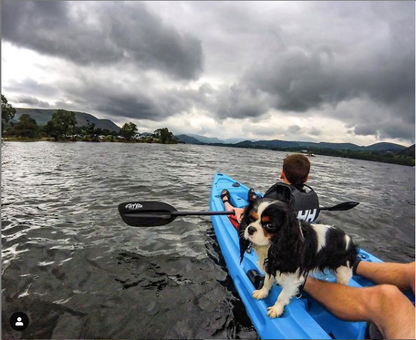 'MAHEE' Double Seater Kayak Blue 🔵